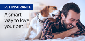 Pet Insurance